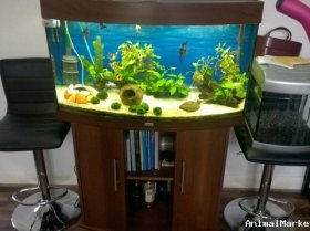 For sale  Full Setup Tropical Fish Tank